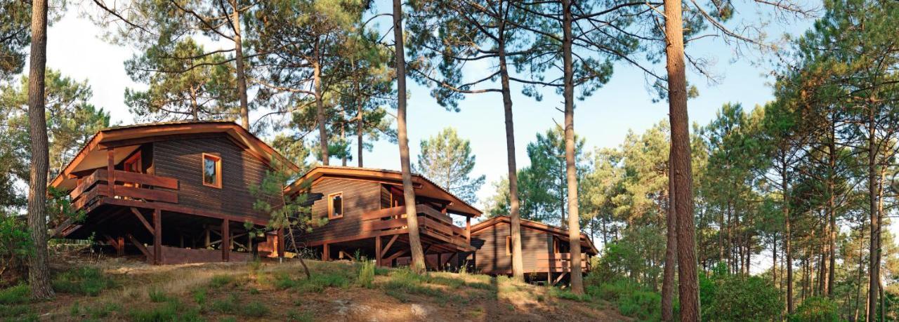 Residence Les Sentes Carcans Exterior photo